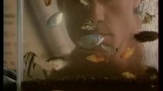 poster-3365-omo-liquide-le-chef-de-chantier-236x132