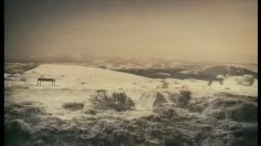 poster-3371-vodafone-work-play-236x132