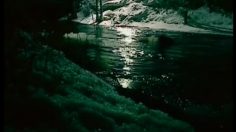 poster-3377-mtv-pluie-d-hommes-236x132