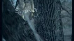 poster-3421-securite-routiere-swing-236x132