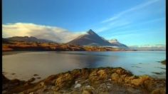 poster-3427-greenpeace-protection-environnement-breathe-236x132