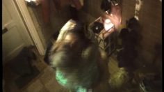 poster-347-ikea-condom-236x132