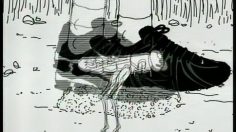 poster-3491-nike-invidia-shox-236x132