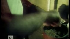 poster-351-droits-et-libertes-appel-au-vote-clarence-236x132