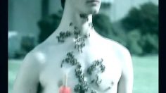 poster-3564-wonderbra-lingerie-the-one-and-only-236x132