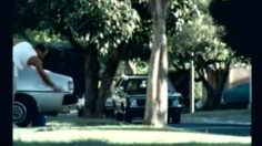 poster-3567-pedigree-chew-236x132