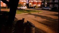 poster-357-heineken-rubbish-236x132