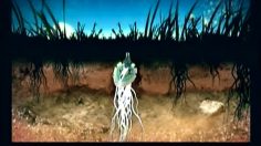 poster-3572-nike-en-fleurs-236x132