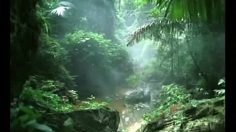 poster-3586-vodafone-mayfly-236x132