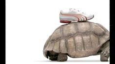 poster-3618-puma-le-lievre-et-la-tortue-236x132