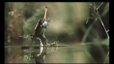 poster-3692-volkswagen-golf-gt-tsi-fly-236x132