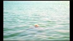 poster-3697-trumpet-hair-236x132