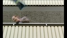 poster-3699-protection-sante-port-preservatif-confused-236x132