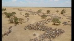 poster-3767-playstation-playstation-2-golfers-236x132