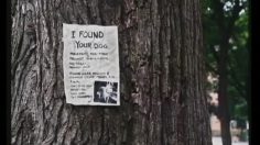 poster-3779-ebay-belief-236x132