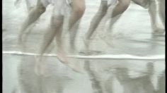 poster-3807-nike-white-fellows-236x132