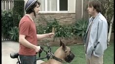 poster-3814-starburst-ernie-236x132