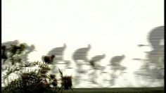 poster-382-adidas-the-chase-236x132