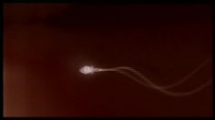 poster-3820-oslo-gay-festival-sad-story-236x132