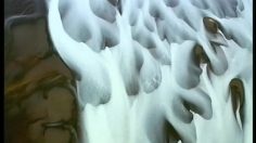 poster-3859-vaseline-sea-of-skin-236x132