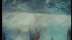 poster-387-ricard-la-statue-236x132