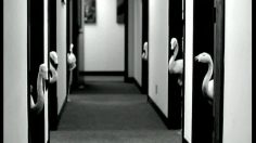 poster-3882-american-express-carte-bleue-animals-236x132