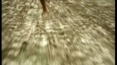 poster-3896-axe-lynx-billions-236x132