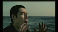 poster-3904-greenpeace-protection-animaux-sorry-236x132