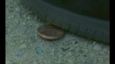 poster-3924-virgin-mobile-penny-sensibility-236x132