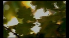 poster-3926-collective-de-la-viande-agneau-lomb-236x132