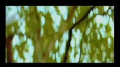 poster-3992-london-film-school-50th-anniversary-trailer-236x132