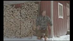 poster-4018-mentos-charge-236x132