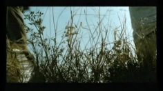 poster-4054-virgin-compagnie-ferroviere-return-of-the-train-236x132