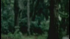 poster-4057-chef-boyardee-l-homme-de-fer-236x132