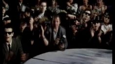 poster-4066-greenpeace-dumb-animals-236x132