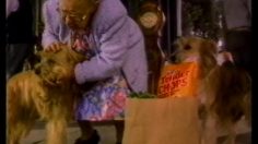 poster-4075-tender-chops-l-infirme-236x132