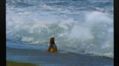 poster-4113-tango-seal-236x132