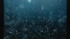 poster-4115-johnnie-walker-fish-236x132