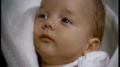 poster-4140-calve-le-bebe-236x132