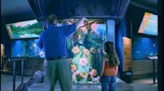 poster-4152-vancouver-aquarium-aquarium-le-moqueur-236x132