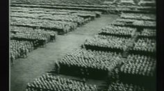 poster-4165-involvetourself-involvetourself-com-hitler-s-fall-236x132