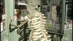 poster-418-nestea-cool-closed-236x132