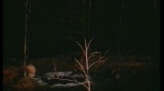 poster-4201-georgia-cafe-la-nuit-236x132