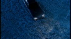 poster-421-ikea-lights-236x132