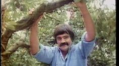 poster-4256-sopexa-coll-des-pruneaux-pour-bien-secouer-les-pruniers-236x132