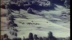 poster-4259-cantal-le-paysan-236x132