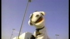 poster-429-pets-com-parking-lot-236x132