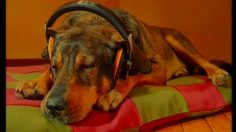 poster-4296-mb-dessinez-c-est-gagne-casque-236x132