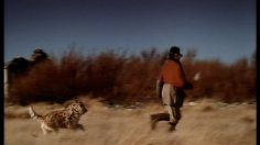 poster-4298-bnp-la-falaise-236x132