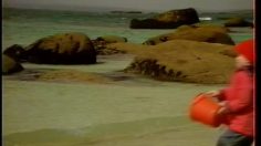 poster-4312-st-michel-galettes-le-petit-breton-236x132